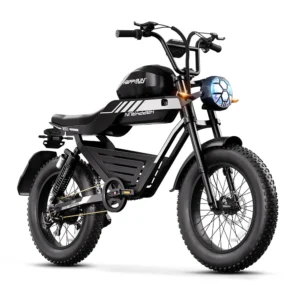 HappyRun G100 Dual Batteries